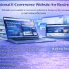 Professional E-Commerce Website for Businesses